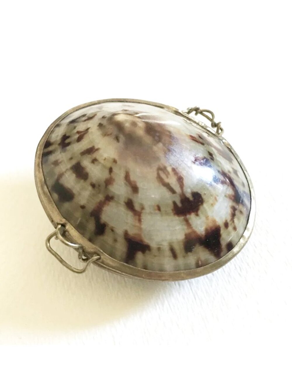 Vintage Seashell Limpet Pillbox Gold Tone Edging